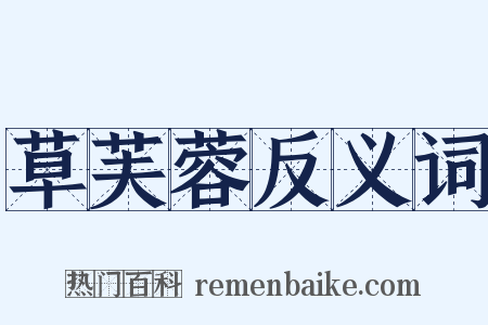 草芙蓉反义词是什么意思的图片